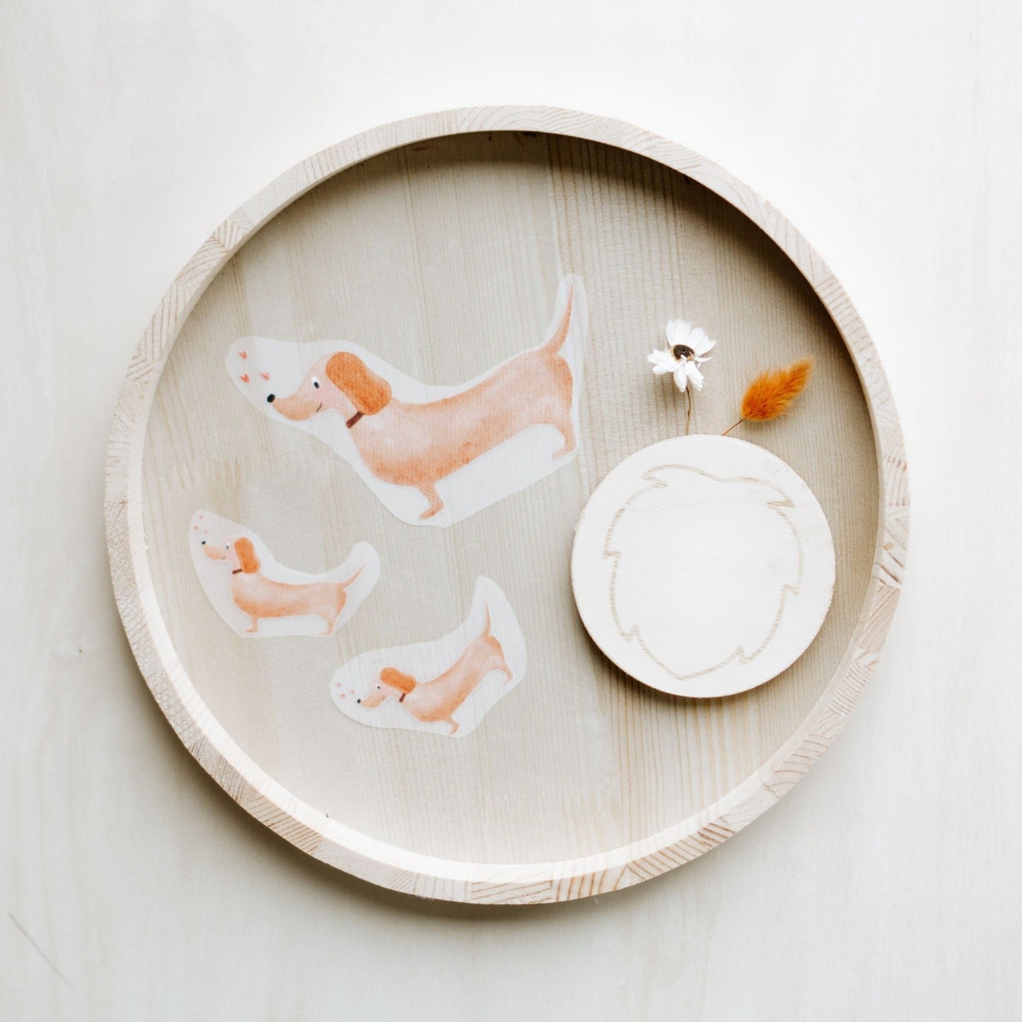 Bügelbild Dackel - Loewenknopf