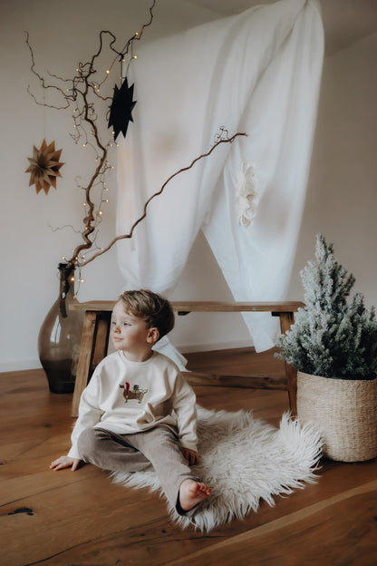 Weihnachtssweater Dackel